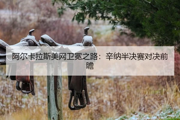 a-er-ka-la-si-mei-wang-wei-mian-zhi-lu-xin-na-ban-jue-sai-dui-jue-qian-zhan-2-286.jpg