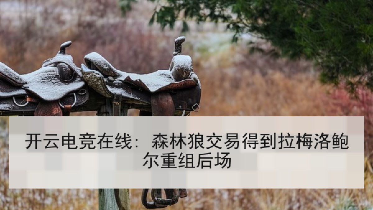 开云电竞在线: 森林狼交易得到拉梅洛鲍尔重组后场